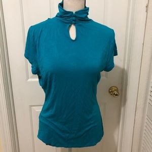 The Limited Blue Turtle Neck Blouse